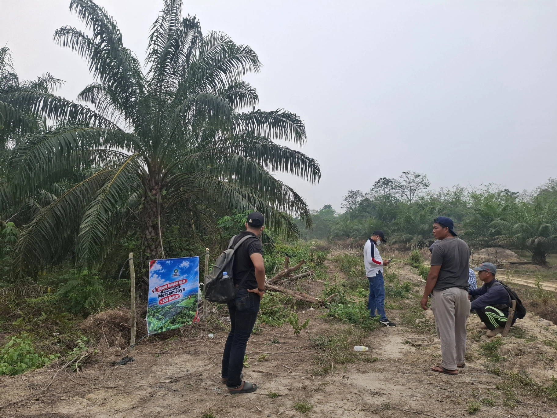 Ratusan Hektare Lahan Dipersoalkan di Mersam, Kelompok Tani Mersam Jaya Desak Kejelasan Status PT IAA/ICA