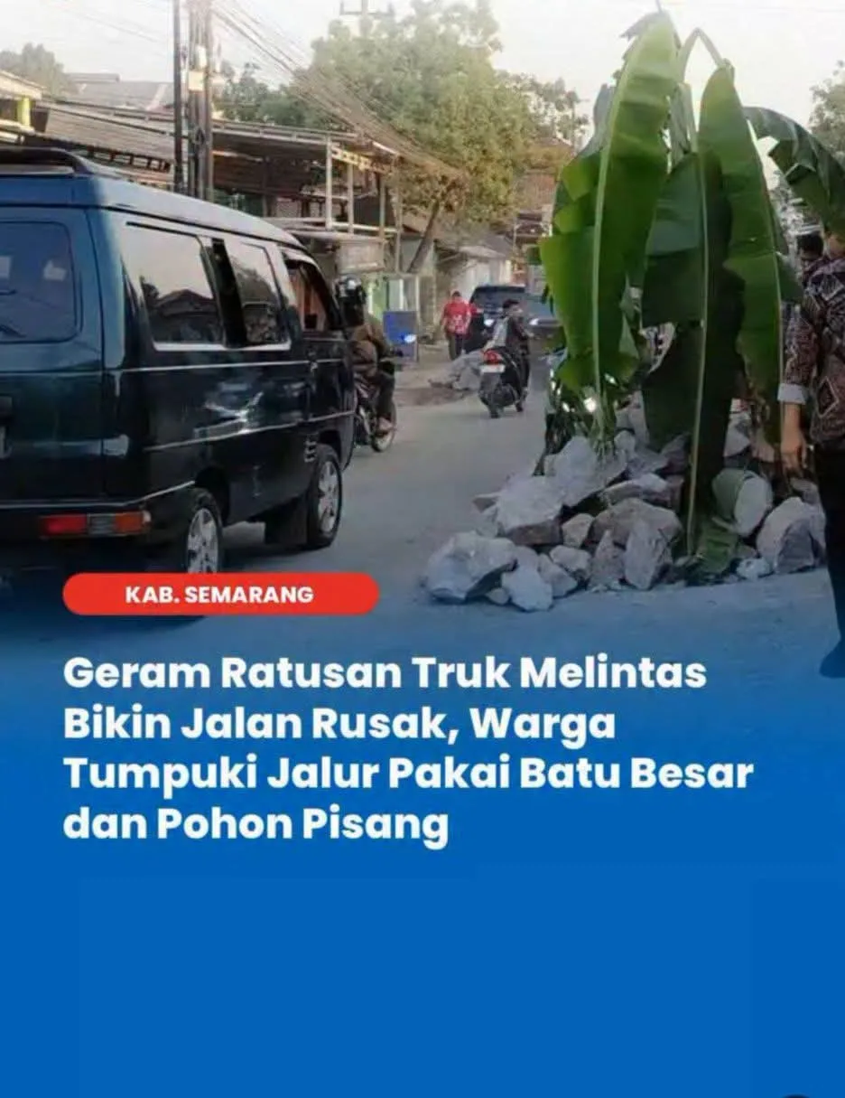 KACAU. GERAM TRUK TAMBANG BIKIN JALAN HANCUR, WARGA WRINGINPUTIH BERGAS TANAMI POHON PISANG