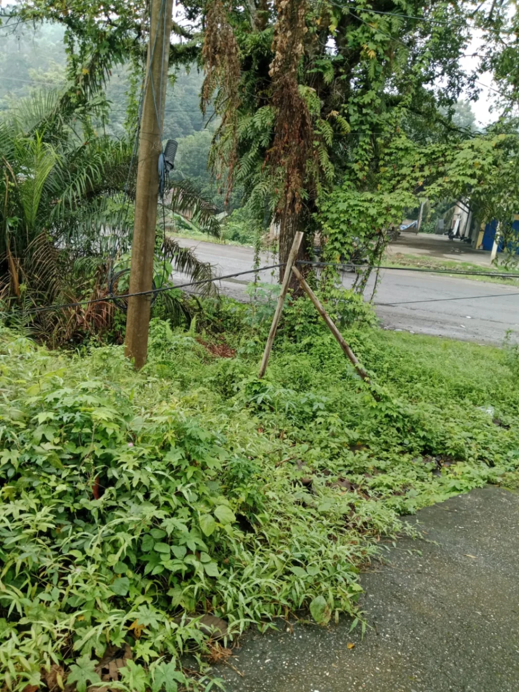 Sudah Sebulan Dibiarkan Terjuntai, Kabel Optik Maut Akhirnya Jerat Leher Pengendara di Merangin